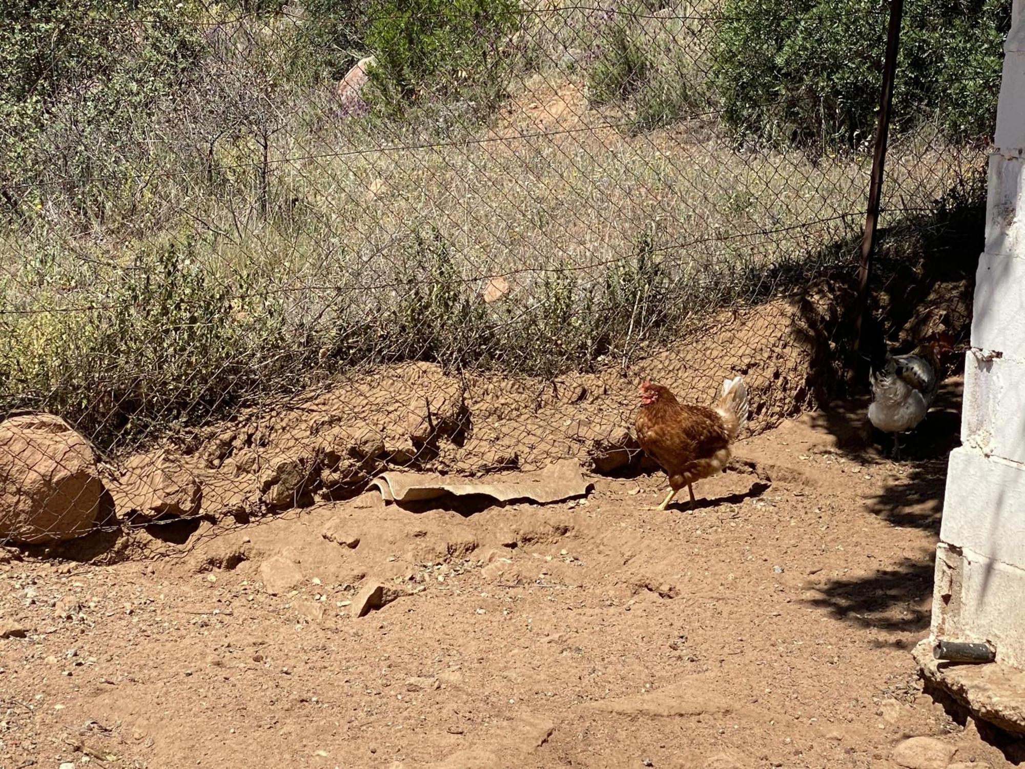 Las Chorreras Del Orejon 2 Villaviciosa de Cordoba Luaran gambar