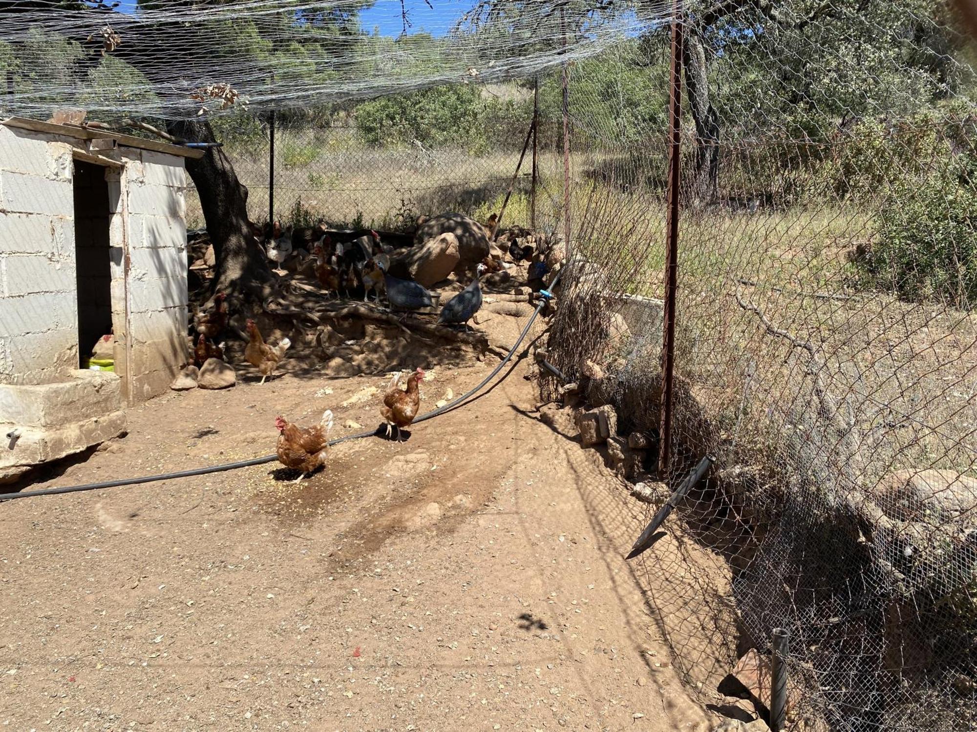 Las Chorreras Del Orejon 2 Villaviciosa de Cordoba Luaran gambar